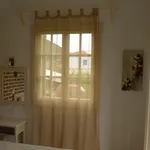 Anna George Apartment