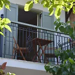 Anna George Apartment