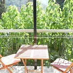Anna George Apartment
