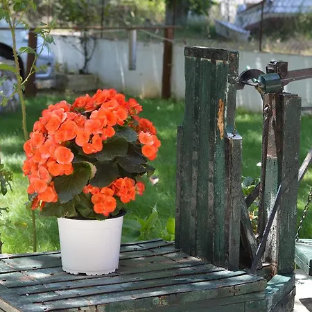 Apartmán Anna George Stafylos