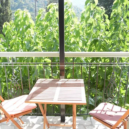 Anna George Apartment
