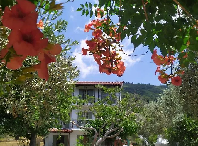 Anna George Apartament