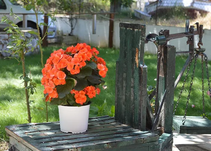 Apartament Anna George Stafylos