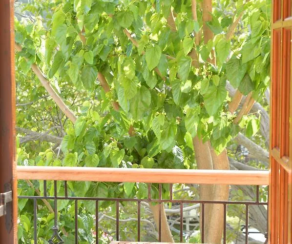 Apartament Anna George